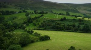 MP do Código Florestal pode ser votada dia 3 de junho