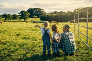 Crédito: um grande desafio do mercado de insumos agrícolas