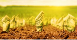 Agrobox: Crédito Agrícola