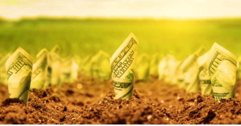 Agrobox: Crédito Agrícola