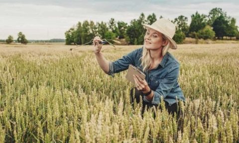 Mulheres ocupam mais espaços na agricultura