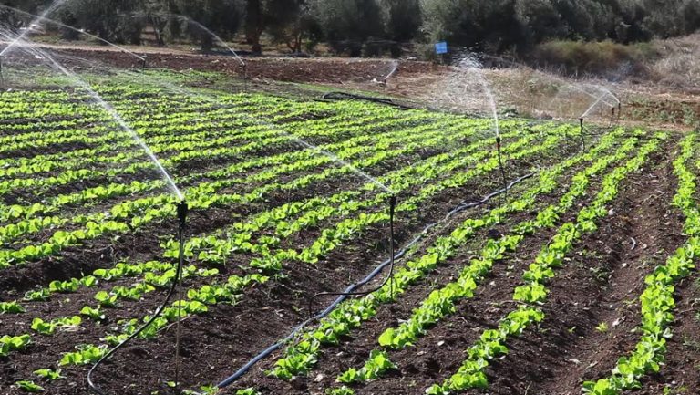 Crédito rural: veja seis novidades