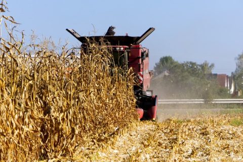 Plano Safra 2019/2020 traz novas opções de financiamento para produtores rurais