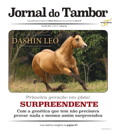 Edição 02