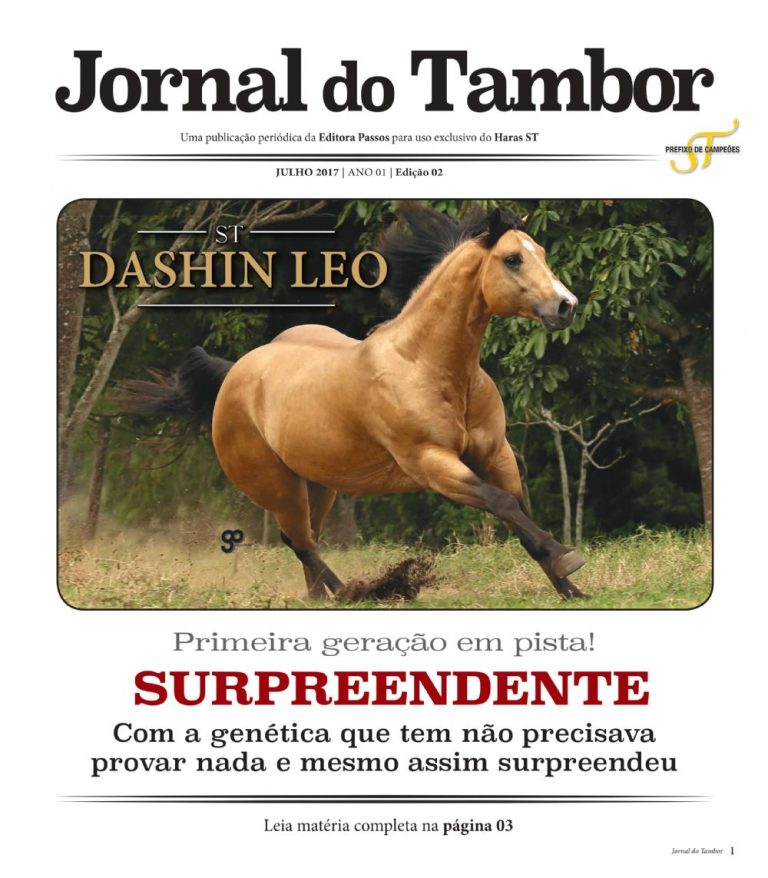 Edição 02