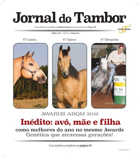 Edição 01