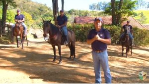 O seu cavalo sabe ficar parado?