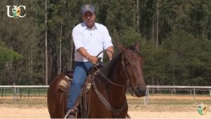 A posição das mãos para cada manobra do cavalo