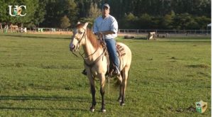 TV UC – A base que não é o básico