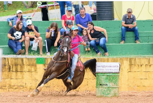 Incentivando o cavalo árabe no esporte ANCAF realiza prova em São Paulo