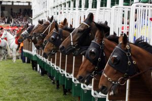 Apostas destacam altos investimentos também em Corrida