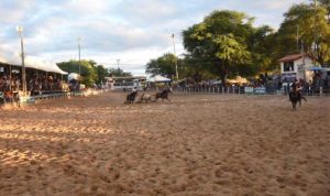 Vaquejada de Petrolina encerrou primeiro semestre do CPV