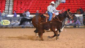 De bullrider a laçador, a história do campeão mundial Charlie Sampson