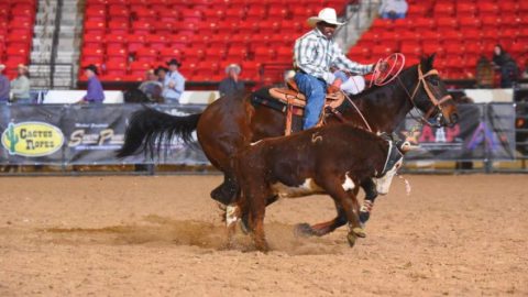 De bullrider a laçador, a história do campeão mundial Charlie Sampson