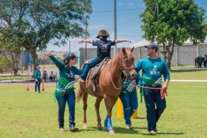 Equoterapia é oferecida pelo Senar em 36 centros de Goiás