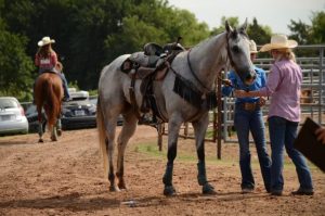 Estrelas dos três tambores dão dicas de compra de cavalo para os pais