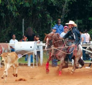 Guilherme Augusto Habermann é apaixonado e vive do Laço