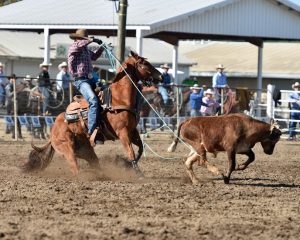 Jade Corkill: novo cavalo, novo parceiro e nova perspectiva
