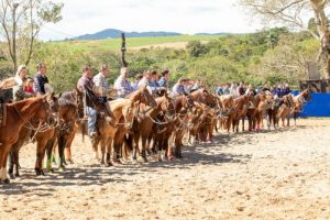 Etapa da Liga Leste de Team Penning em novo local agradou a todos