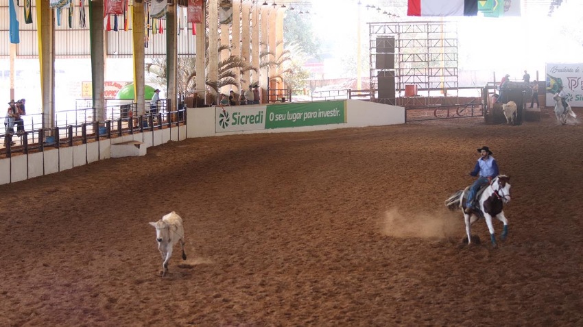 Mato Grosso do Sul tornou-se palco para o cavalo Paint