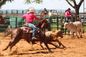 Paulo Morais um dos destaques em Ranch Sorting e Team Penning