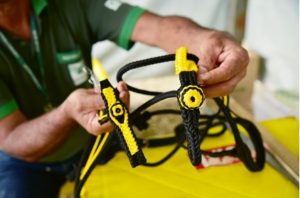 Senar destaca temas práticos para equídeos de campo