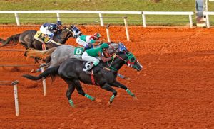 Após recorde nas classificatórias, Tyrion Kisser vence Sorocaba Futurity