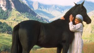 The Young Black Stallion – O Jovem Corcel Negro