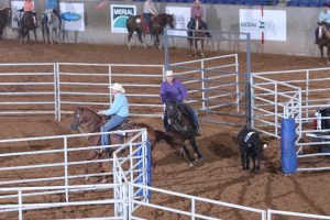 Minas lança prova de Ranch Sorting com premiação atrativa