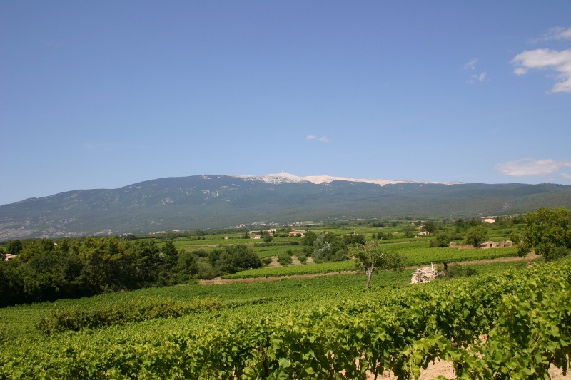 Rota do Vinho na Provença