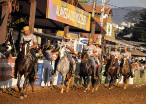 O maior evento voltado para os Mangalarga Marchadores essa semana