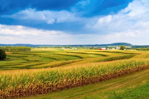 Agrobox: Plano Safra