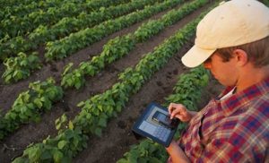 Presença crescente de startups no agronegócio atrai jovens para o setor