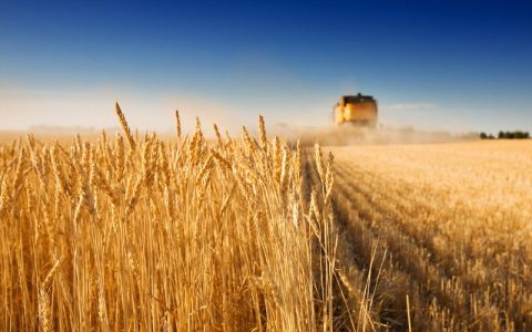 Previdência: comissão retira taxação do agro e libera perdão do passivo do Funrural