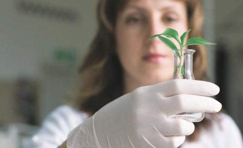 Cresce número de vagas no agronegócio que cobram qualificação
