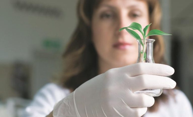 Cresce número de vagas no agronegócio que cobram qualificação