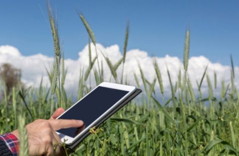 Digitalização Agro é tema central de discussão