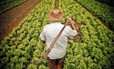 Previdência Rural: veja como era o projeto de Bolsonaro e como ficou