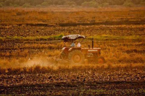 PIB do agronegócio cresce 0,04% em Abril, diz Cepea/CNA