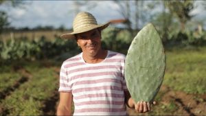 Projeto no sertão concilia produção rural com a seca