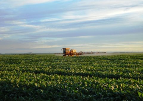 Decreto vai aumentar informação de pequenos produtores sobre aplicação de defensivos