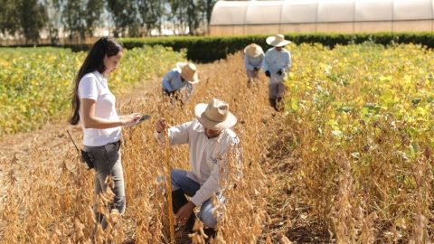 Agropecuária gerou 22.702 vagas de empregos formais em junho