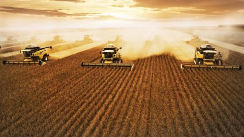 Soja: Brasil se consolida como maior exportador global, com participação de 56%