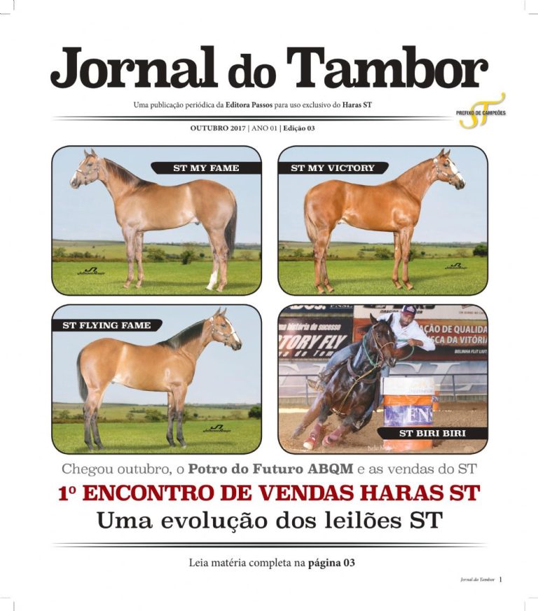 Edição 03
