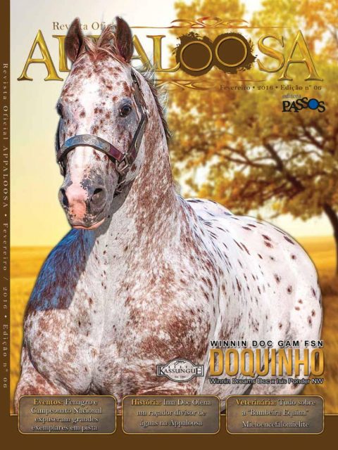 Edição 06