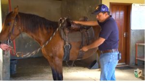 Sela com duas barrigueiras, tem uma ordem para apertar