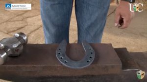 Ferradura para esbarro e cavalo de rédeas