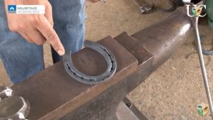 Guarda casco, angulação da craveira e expansão do talão – técnicas de modificação