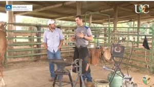 Como se tornar um ferrador profissional