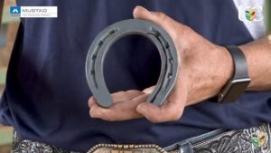 Ferradura para casco assimétrico